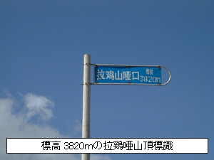ɸ��3820�����ǡ���ĺɸ��