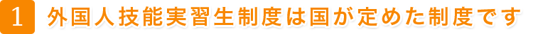 外国技能実習生制度は国が定めた制度です
